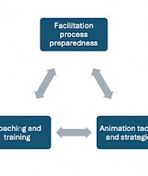 Integrated Model of Facilitation Components